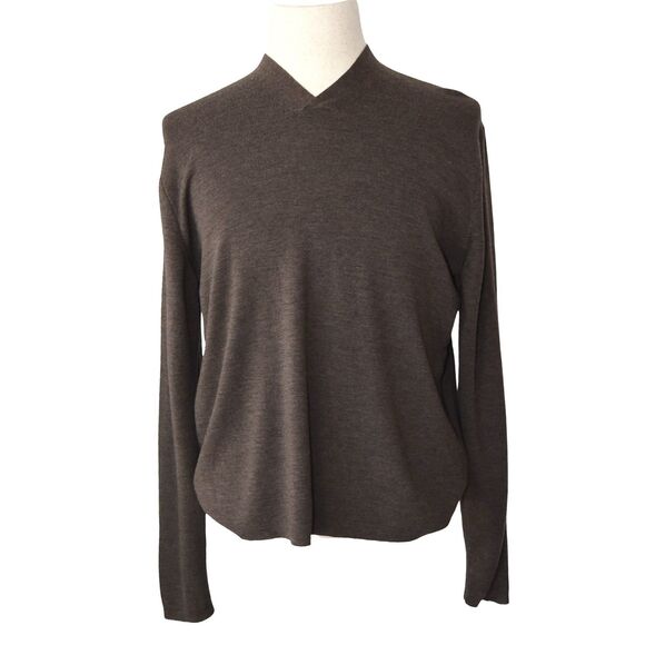 Tasso Elba Brown Merino Wool Sweater Size M V-Neck Minimalist Preppy Classic - Picture 1 of 7